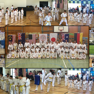 Yoshukai Karate International Dojo: New Zealand